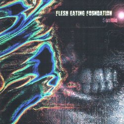 Flesh Eating Foundation - Seethe (2007)