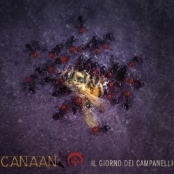Canaan - Il Giorno Dei Campanelli (2016)