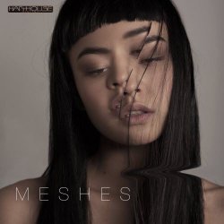 Meshes - Do I Know You (2016)