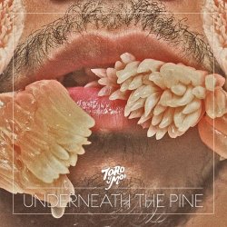 Toro Y Moi - Underneath The Pine (2011)