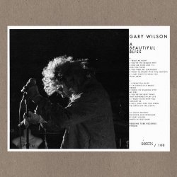 Gary Wilson - A Beautiful Bliss (2017)