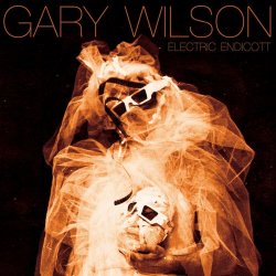 Gary Wilson - Electric Endicott (2011)