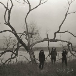Mint Field - Mientras Esperas (2019) [EP]