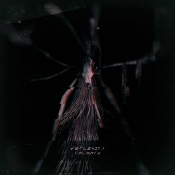 Deflexity - Valravn (2019) [Single]