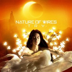 Nature Of Wires - Try (2019) [EP]