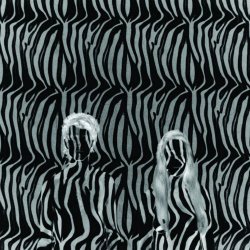 Beach House - Zebra (2010) [EP]