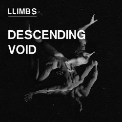 LLimbs - Descending Void (2020) [EP]