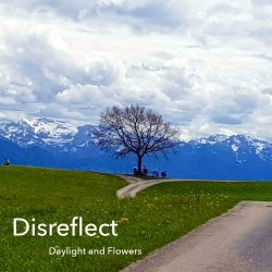 Disreflect - Daylight And Flowers (2022) [EP]