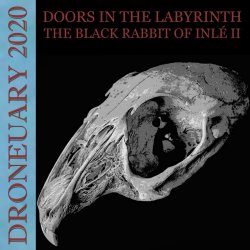 Doors In The Labyrinth - The Black Rabbit Of Inlé II (2020) [EP]