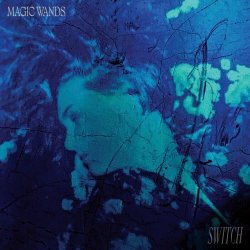 Magic Wands - Switch (2023)