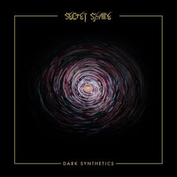 Secret Shame - Dark Synthetics (2019)