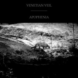 Venetian Veil - Apophenia - Or Patterns, Presumptions, Images, Endings (2012)