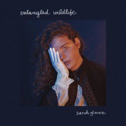 Sandi Glowe - Entangled Wildlife (2020) [Single]