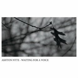 Ashton Nyte - Waiting For A Voice (2020)