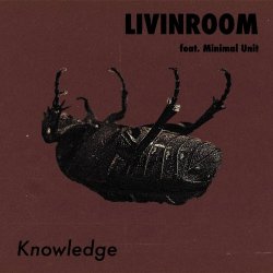 LIVINROOM - Knowledge (2023) [Single]
