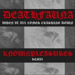 DeathFauna - When It All Comes Crashing Down (KNOWNPLEASURES REMIX) (2023) [Single]