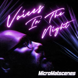 MicroMatscenes - Voices In The Night (2022)