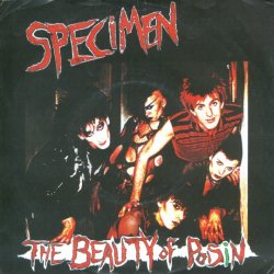 Specimen - The Beauty Of Poisin (1983) [Single]
