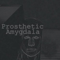 Prosthetic Amygdala - Prosthetic Amygdala (2023) [EP]