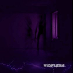 Vioflesh - Vioflesh (2020)