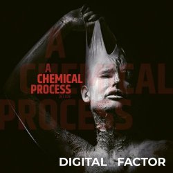 Digital Factor - A Chemical Process (2021)