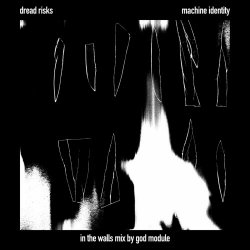 Dread Risks - Machine Identity (In The Walls Mix By God Module) (2023) [Single]