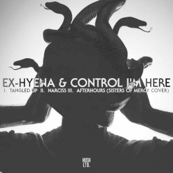 Ex-Hyena & Control I'm Here - Tangled Up / Narciss / Afterhours (2023) [Single]