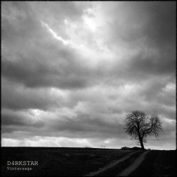 D4RKSTAR - Vintersaga (2022) [Single]