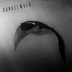 Dunkelwald - Inerte (2022) [Single]