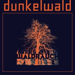 Dunkelwald - Waldrauch (2022)