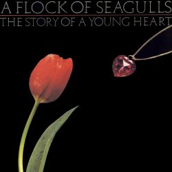 A Flock Of Seagulls - The Story Of A Young Heart (2008) [Reissue]