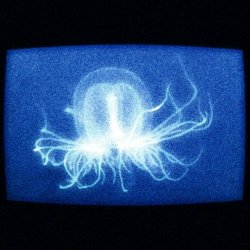 Moon 17 - Jellyfish (2023) [Single]
