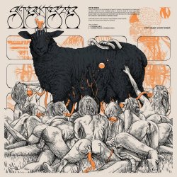 STRNGR - The Feed (2021) [Single]