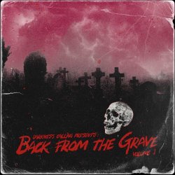 VA - Back From The Grave Vol. 1 (2023)
