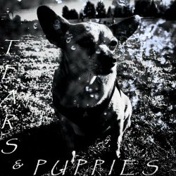 Mortal Boy - Tears & Puppies (2021) [EP]