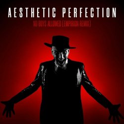 Aesthetic Perfection - No Boys Allowed (Empirion Remix) (2020) [Single]