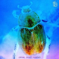 The Fair Attempts - Carnal Insect Remixes (2019) [EP]