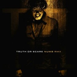 Institute For The Criminally Insane - Truth Or Scare (Numb Rmx) (2023) [Single]