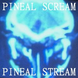 Pineal Scream - Pineal Stream (2023) [EP]