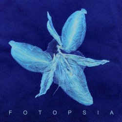 Fotopsia - Paper Tears (2023)