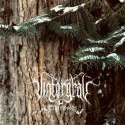 Vintergrav - Elderwoods (2021) [EP]