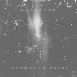 Mycelium - Mourning Dove (2022) [EP]