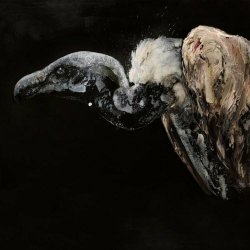 Gísli Gunnarsson - Birds Of Prey (2020) [EP]