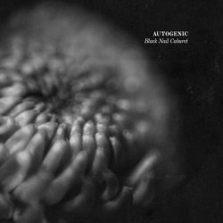 Black Nail Cabaret - Autogenic (2023) [Single]