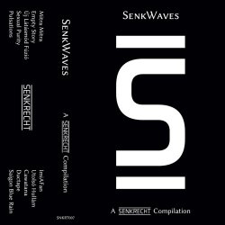 VA - SenkWaves - A Senkrecht Compilation (2022)
