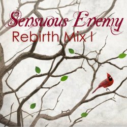 Sensuous Enemy - Rebirth Mix 1 (2023) [Single]