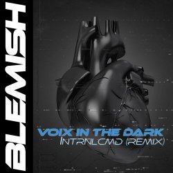 Voix In The Dark - Blemish (2022) [Single]