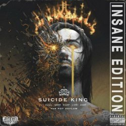 Van Roy Asylum - Suicide King (Insane Edition) (2020)