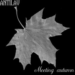 Antilav - Meeting Autumn 2.0 (2020) [Single]