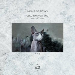 Might Be Twins - Used To Know You (2021) [EP]